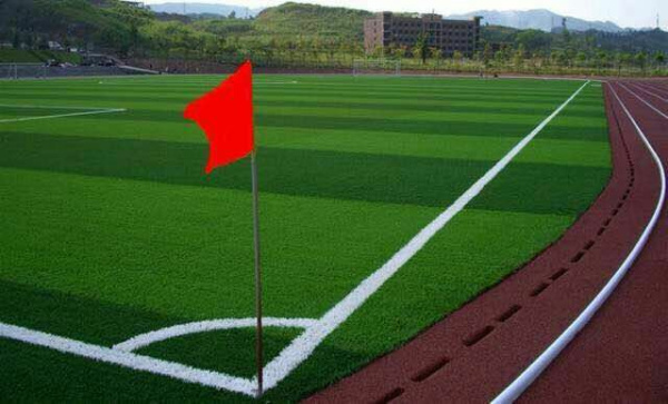 專業(yè)足球場地