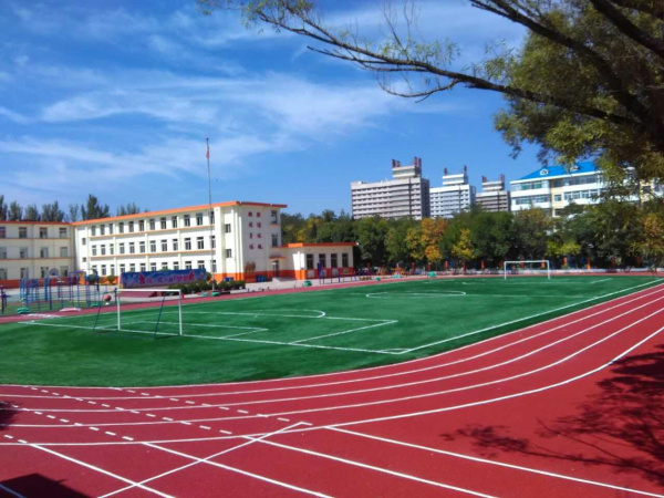 專業(yè)足球場地